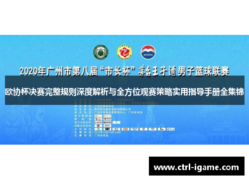 欧协杯决赛完整规则深度解析与全方位观赛策略实用指导手册全集锦