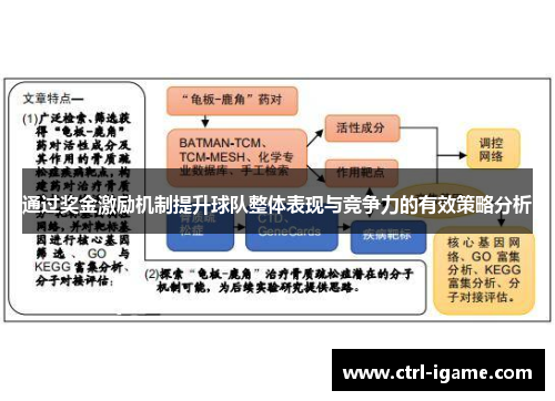 通过奖金激励机制提升球队整体表现与竞争力的有效策略分析